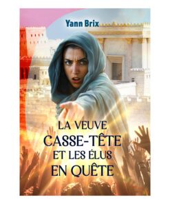 La veuve casse-tête et les élus en quête - Yann BRIX