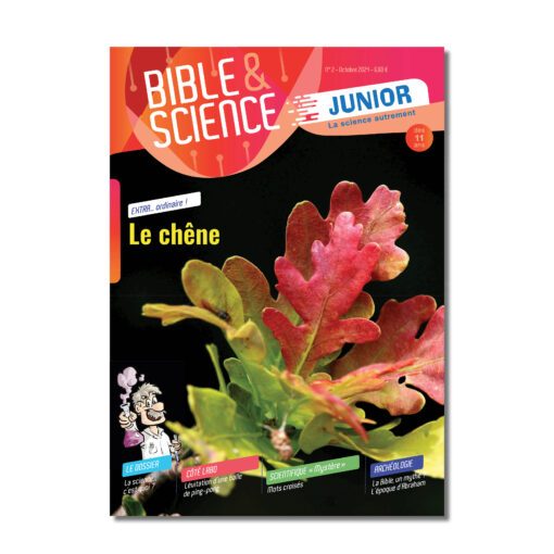 Oasis Éditions_Bible et Science junior