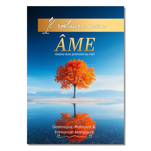 Il restaure mon âme… (Amène mon potentiel au réel) - Dominique Maincent et Emmanuel Jeanguyot