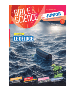 Bible & Science Junior, N° 7 'Le dossier :  le déluge